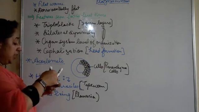 ANIMAL KINGDOM Platyhelminthes General characteristics