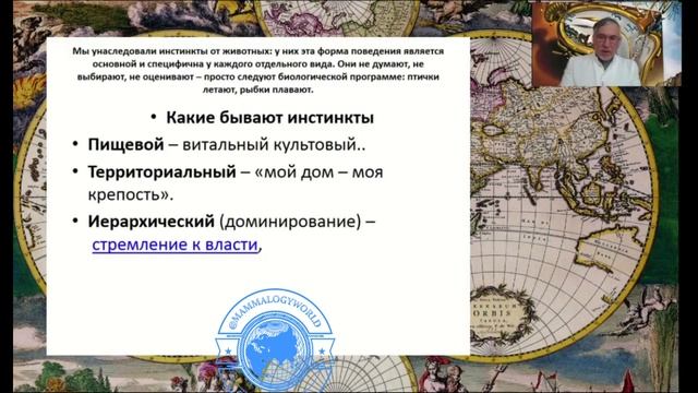 ИНСТИНКТ САМОСОХРАНЕНИЯ МУСТАФИН ЧИНГИС