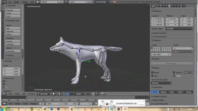 Making A Wolf In Blender 3D( Texture , Hair Particles , Rigs (b-bones))