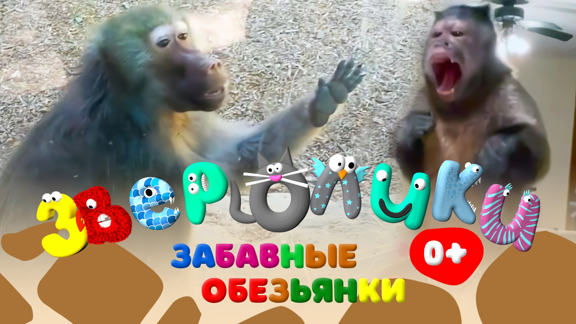 5b85d7a0a94e3b4568a5b4f41a4f0b51