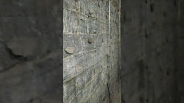 штукатурка по маякам до 10см. цемент.