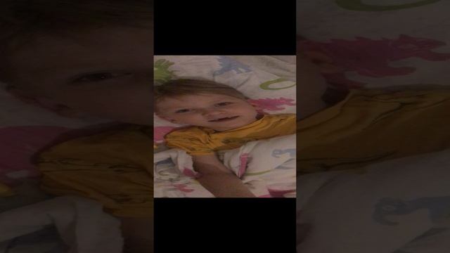 Медоед толстокожий