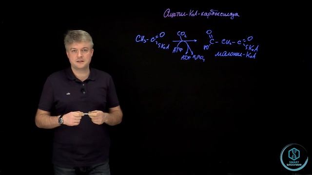 Биохимия: виды АКК