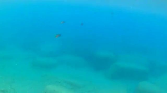 B74b2c067e82568aa17854ca1a78ccd5