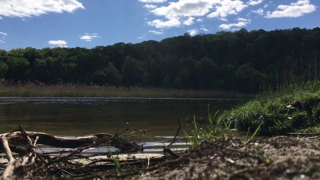 9a96399577975a39c2015708979a626b