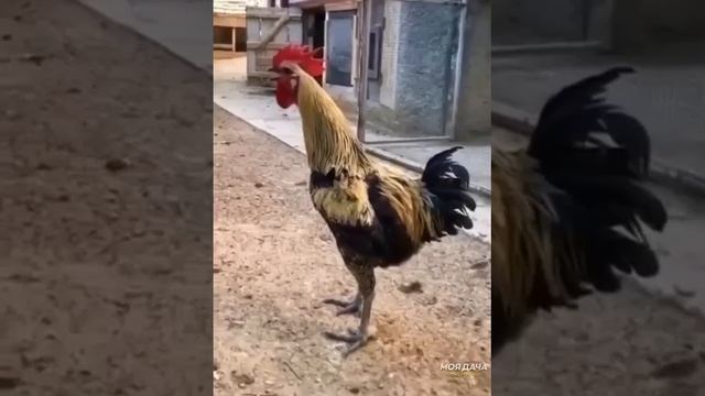 1035b091430b80455caf046af72c36c4