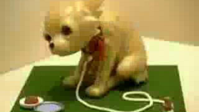 Скульптуры из скотча