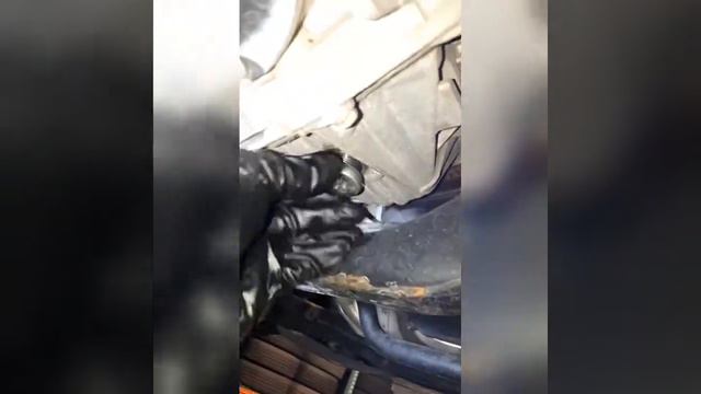 Субарю: настоящее мастерство и профессионализм