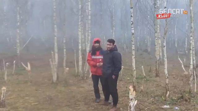 Мигранты на границе Беларуси и Польши рубят деревья для костров