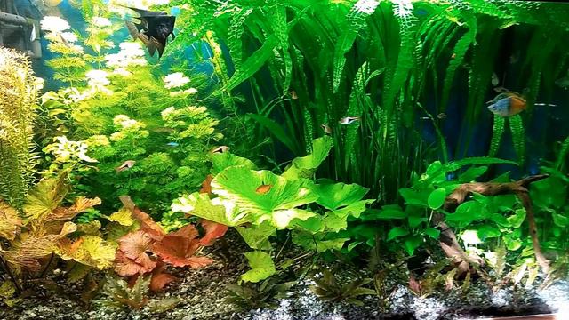 Релакс для души. #2       #музыка   #релаксдлядуши