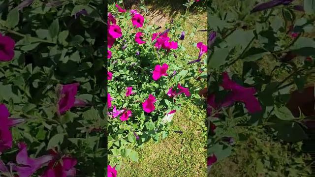 5825eae06e4f0beeaaa064a92d698853