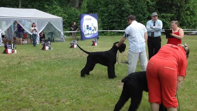 День ризена - 2014: Smashing In Black Churchill (2)