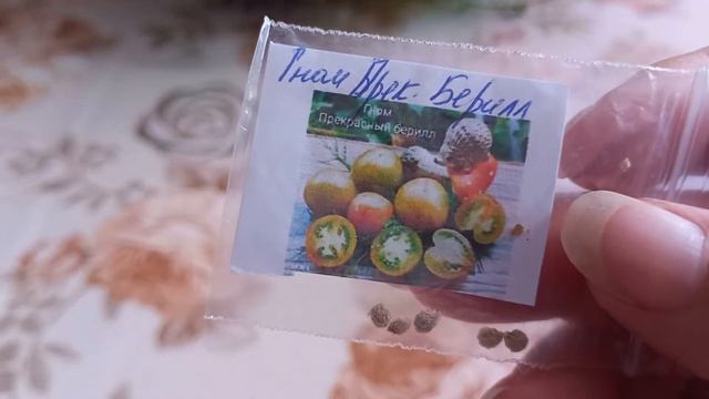 СЕМЕНА ОТ ЕЛЕНЫ МОСКОВСКАЯ ОБЛ.