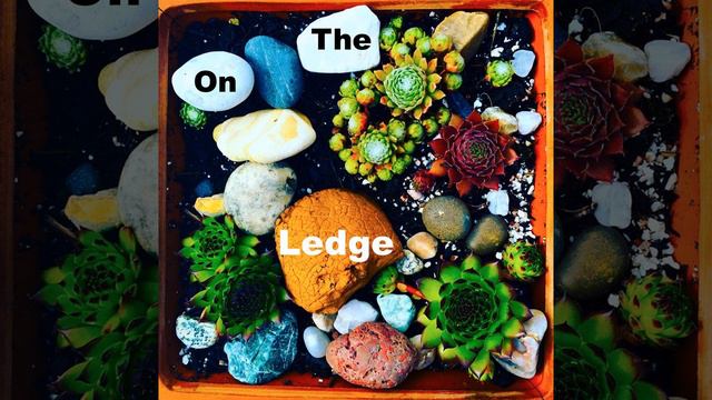 On The Ledge Podcast Episode 67, Part Seven: Epiphyllum Anguliger Aka Fishbone Cactus