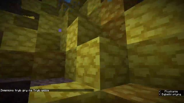 NAJLEPSZY MOD NA END W MINECRAFT - Better End Mod 1.16.5 | Cedi