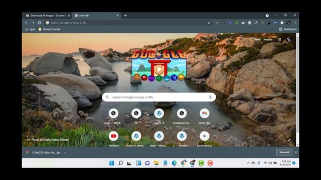 Download All Images Just One Click From Any Website | Website Image Downloader | Freelancer Foysal