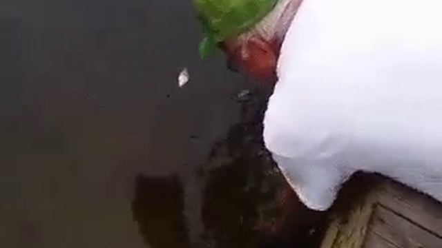 B8834728649b056a14b7c5125328b487