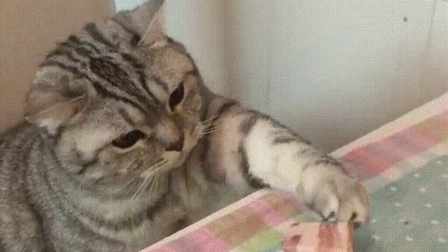 75b84c5c232e4401337e477645cda58b