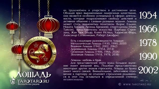 Лошадь: характеристика знака или год Лошади по восточному (китайскому) гороскопу