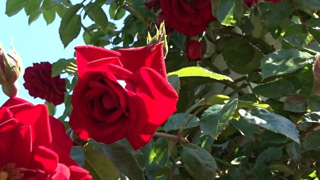 3c1c58edd4550c1069bece27858a5d45