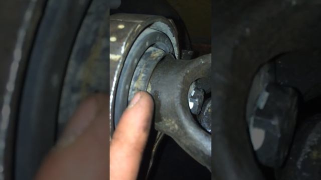 Интерьерные истории: уникальные проекты и их создатели