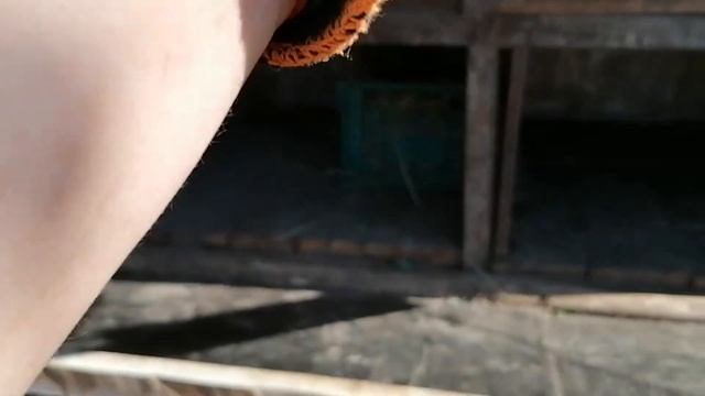 Маточник и родзал для кроликов готов!!! ? Кролики /кролиководство /вольер