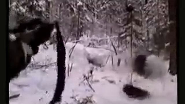 Домашний стол для всех 