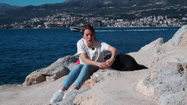 Трюк тик-так, команда перекладывания лап, выучить новый трюк с собакой