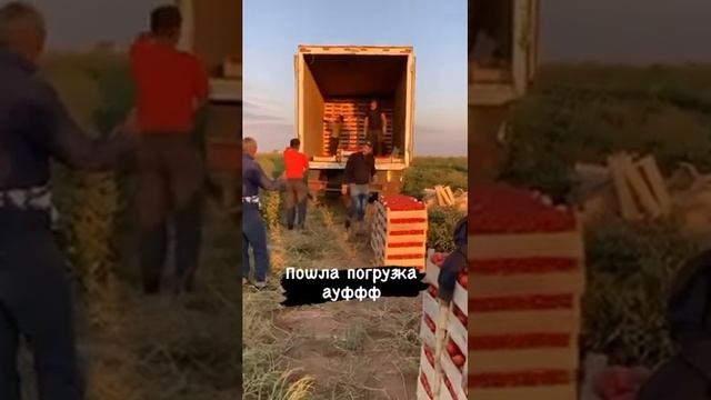 Астраханская область пос. Никольское