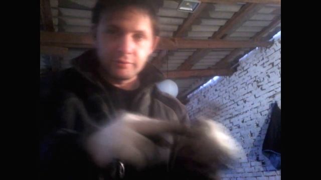 Комнатные инсайты