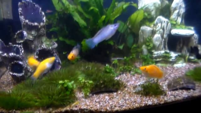 84d0c0da6c52240549273ba60eeb62f6