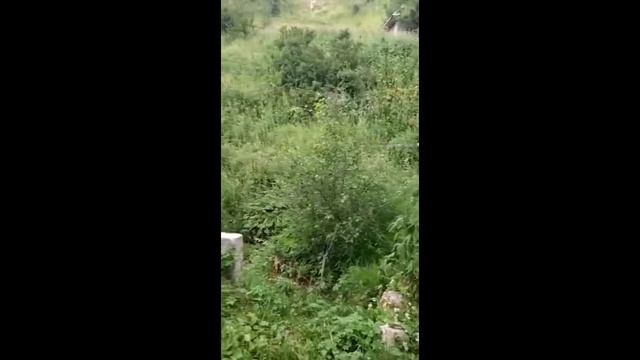 Дом у Гор в Алматы