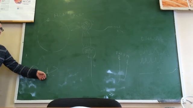 Сердце  Часть 1