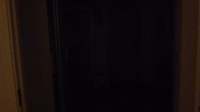 Огни Рождества. 2016 год.