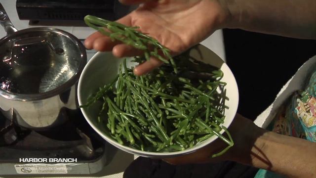 482c932d3c5cd512d636347f2311036b