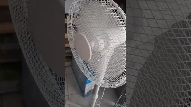 Je test pour vous le ventilateur d ACTION Kinzo