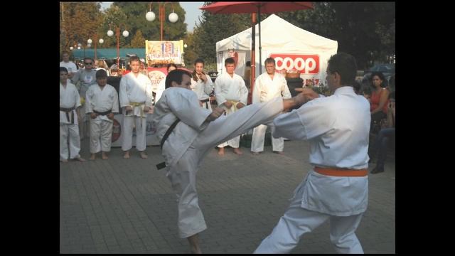 Shotokan Karate Egyesület Hajdúszoboszló - Bemutatkozó Video (képekben)