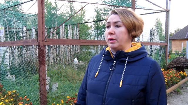 Каждому по морковке!