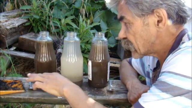 Земля проверяем свою землю