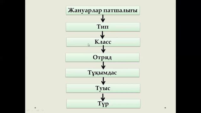 Жануарлар систематикасы 6 сынып, жаратылыстану