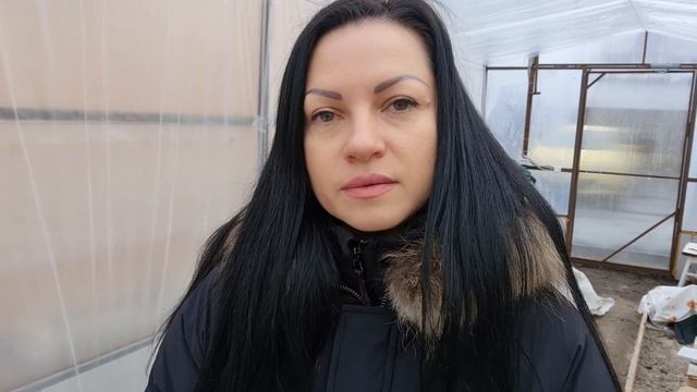 Зимовка саженцев ежевики. Первые работы в теплице