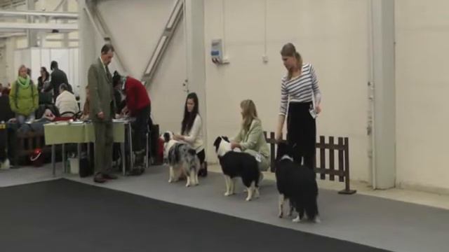 2049315241cfa4179ab7f5d49b9f6e30