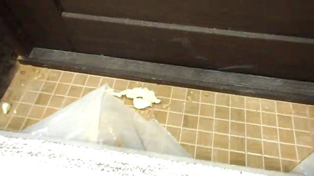 Черные  в доме