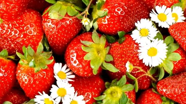 Праздник талантов и профессионализма в различных областях