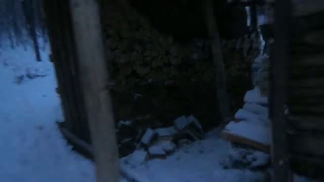 Избушка в тайге