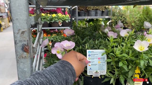 1cda9316760070604834eae1c92d41a8