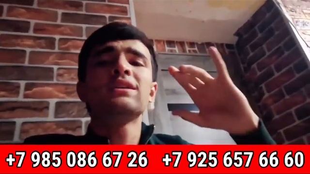 8 ноября 2023 г.