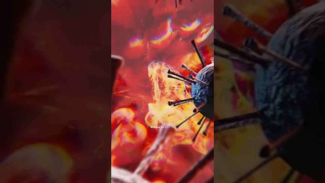 C31ec698916fd7e47174312851fa8425