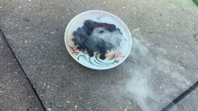 Как быстро избавиться от мух, во время готовки?Кофе!