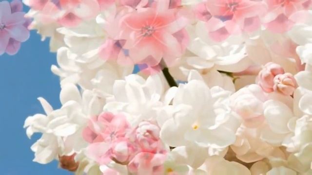 840ba470e1c2ca592663fb6861228e9c